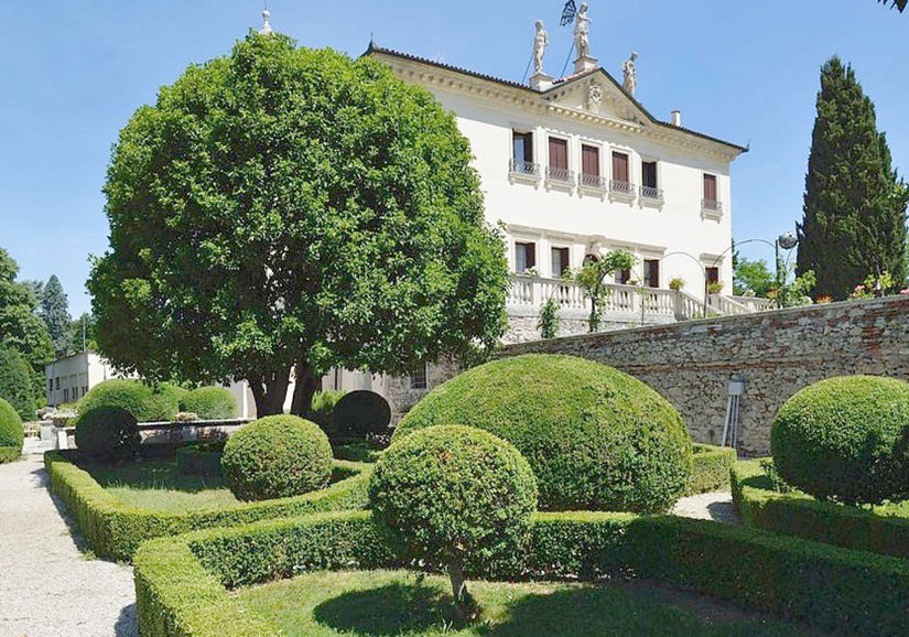 visita guidata Villa Valmarana ai Nani, giardino con siepi curate e grande albero verde.